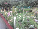 2010-07-24 20.42.57