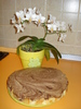 CHEC IN FORMA DE TARTA