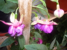 P1050780