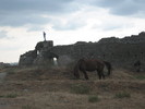 Enisala-Tulcea