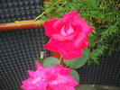 DSCF1040