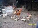 100_7008