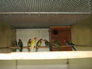DSC06345