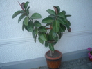 P1050862