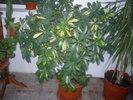 P1050850