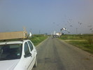 DSC02584