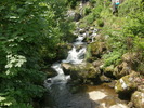 P7090030