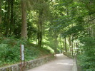 P7090033