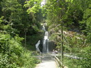 P7090037