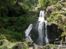 P7090038