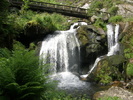 P7090056