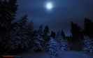 straja_moonlight_dsk_1440