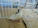 DSCN1447