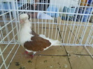 DSCN1449