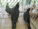 DSCN1347