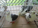 DSCN1358