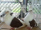 DSCN1359