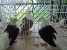 DSCN1363