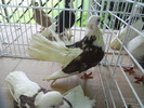 DSCN1364