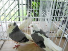 DSCN1365