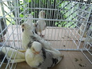 DSCN1367