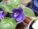 DSC04862