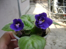 DSC04866