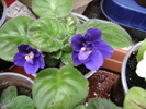 DSC04861