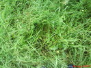 DSC02543