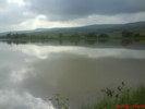 DSC02548