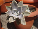 DSC05951