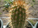 DSC06031