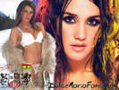 dul6hh[1]