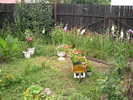 DSCN5719