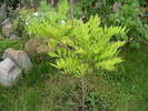 DSCN5739