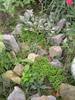 DSCN5740