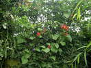 DSCN5751