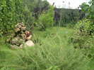 DSCN5766