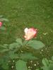 DSCN5787