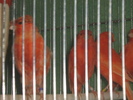 IMG_1392