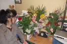lalele rosii batute si simple alb cu roz