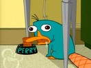 Perry_as_a_mindless_animal[1]