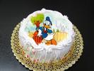 Tort Doland Duck