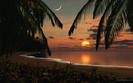 tropic