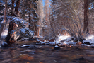 winter tale