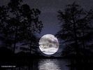 bluemoon