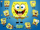 Spongebob-spongebob-squarepants-1595658-1024-768[1]