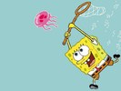 Spongebob-spongebob-squarepants-8297807-1024-768[2]