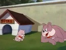tom-si-jerry--that--s-my-pup
