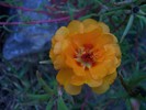 100_0971